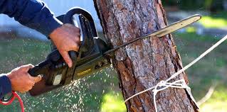 Best Lawn Maintenance Plans  in Kellyville, OK
