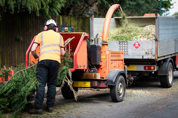 Best Storm Damage Tree Cleanup  in Kellyville, OK