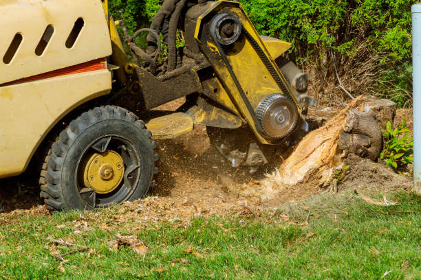 Best Soil Testing and Treatment  in Kellyville, OK