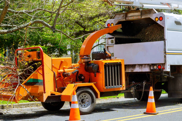 Best Tree and Shrub Care  in Kellyville, OK